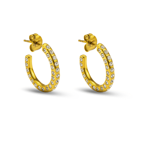 Aurora Gold Sparkle Hoops
