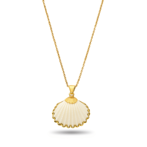 Pearl in Oyster Shell Necklace