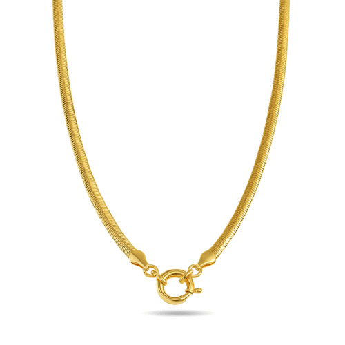 Statement Snake Chain with Front Clasp
